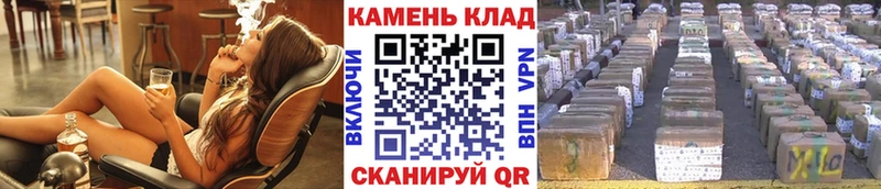 ГАШ Premium  Грязовец 